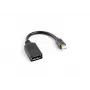 LANBERG DisplayPort kabelis Mini DisplayPort - 0.12m Juodas