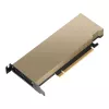 PNY NVIDIA L4 modulis 24GB 1x LP laikiklis LowProfile su ATX laikikliu, sumontuotu PCIe x16 Gen 4.0