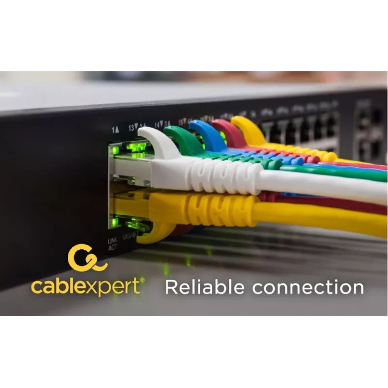 Tinklo kabelis Gembird PP6A-LSZHCU-20M RJ-45 Cat6a 20m Pilkas