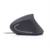 GEMBIRD optinė pelė MUS-ERGO-01 - ergonominė 6 mygtukų, ratukas, USB, juoda