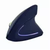 GEMBIRD optinė pelė MUS-ERGO-01 - ergonominė 6 mygtukų, ratukas, USB, juoda