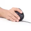GEMBIRD optinė pelė MUS-ERGO-01 - ergonominė 6 mygtukų, ratukas, USB, juoda