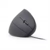 GEMBIRD optinė pelė MUS-ERGO-01 - ergonominė 6 mygtukų, ratukas, USB, juoda