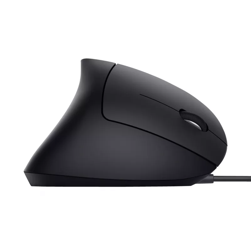 Trust Verto pelė Office Dešiniarankiams USB Type-A optinė 1600 DPI