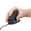 Trust Verto pelė Office Dešiniarankiams USB Type-A optinė 1600 DPI