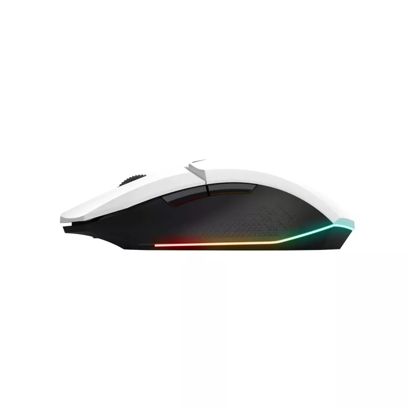 Trust GXT 110 FELOX pelė Žaidimams Dešiniarankiams RF Belaidis Optinė 4800 DPI