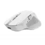 „Trust Ozaa+“ pelė, biuro, dešiniarankė, RF belaidė + Bluetooth 24935