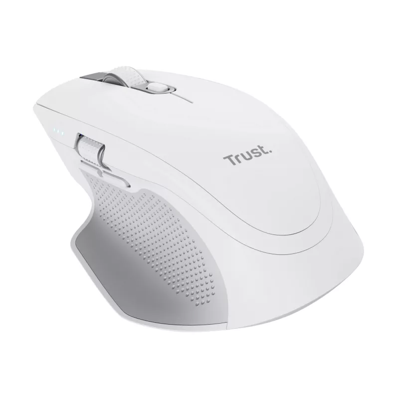 „Trust Ozaa+“ pelė, biuro, dešiniarankė, RF belaidė + Bluetooth 24935