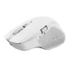 „Trust Ozaa+“ pelė, biuro, dešiniarankė, RF belaidė + Bluetooth 24935