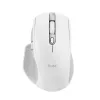 „Trust Ozaa+“ pelė, biuro, dešiniarankė, RF belaidė + Bluetooth 24935