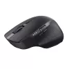 Trust Ozaa+ pelė Office Dešiniarankiams RF Belaidis + Bluetooth Optinė 3200 DPI