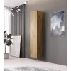 Prie sienos montuojama laikymo spinta Cama Meble VIGO 180, 1800×400×300 mm, Wotan ąžuolas
