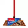 Vidaus šluota VILEDA modelis 136082 su minkštais/kietais plastikiniais šereliais ir kotu, bronzinė