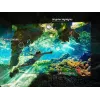 Televizorius Samsung 75 colių Neo QLED QN85F 4K UHD, Neo QLED, 3840×2160, Tizen, Wi‑Fi, HDMI×4, 75 colių (189 cm), sidabrinis
