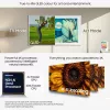 Televizorius Samsung QE65LS03FAUXXH 65 col. The Frame QLED 4K HDR Smart TV, 3840×2160, Tizen, 120Hz