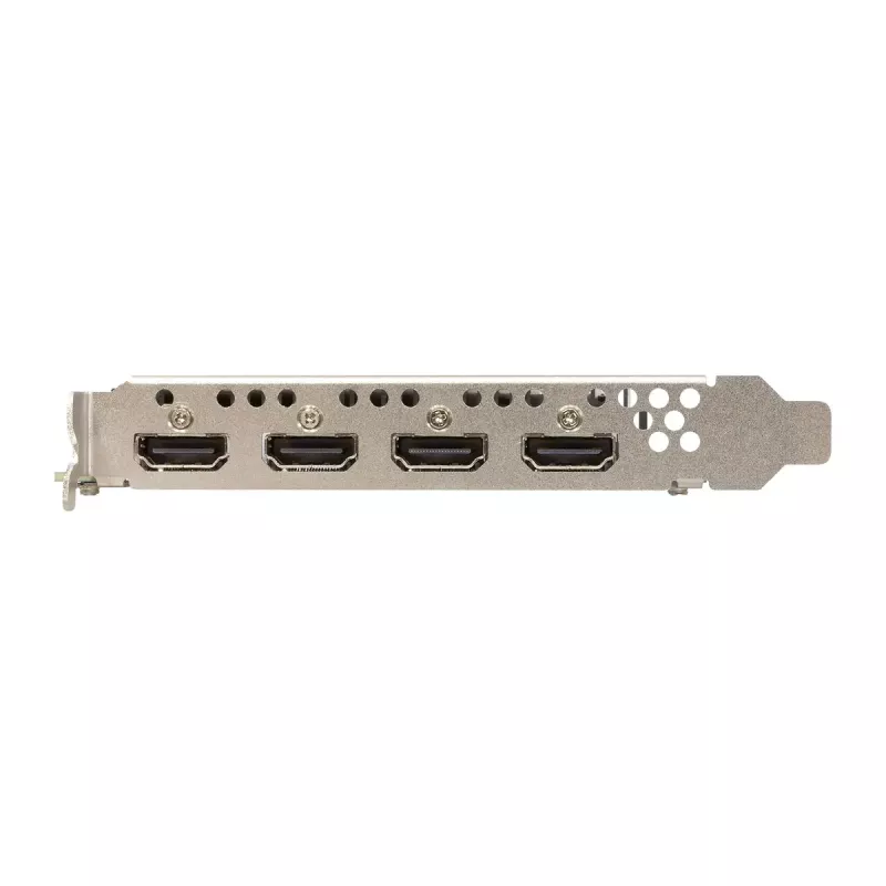 Vaizdo plokštė Sparkle Intel Arc A310 OMNI View — 4 GB GDDR6, 2000 MHz, PCIe 4.0 x8