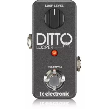 Looper TC Electronic Ditto Looper Juoda Guitar