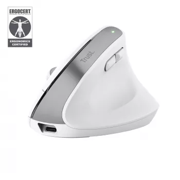 Trust Bayo+ pelė Biurui Dešiniarankiams RF Belaidis + Bluetooth Optinė 2400 DPI