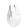 Trust Bayo+ pelė Biurui Dešiniarankiams RF Belaidis + Bluetooth Optinė 2400 DPI