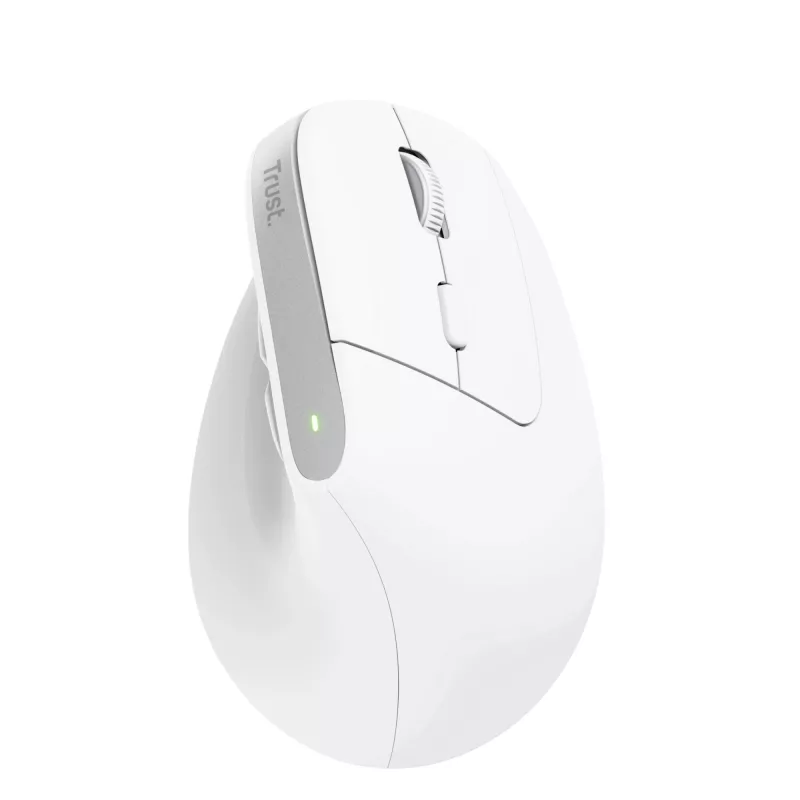 Trust Bayo+ pelė Biurui Dešiniarankiams RF Belaidis + Bluetooth Optinė 2400 DPI
