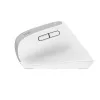 Trust Bayo+ pelė Biurui Dešiniarankiams RF Belaidis + Bluetooth Optinė 2400 DPI