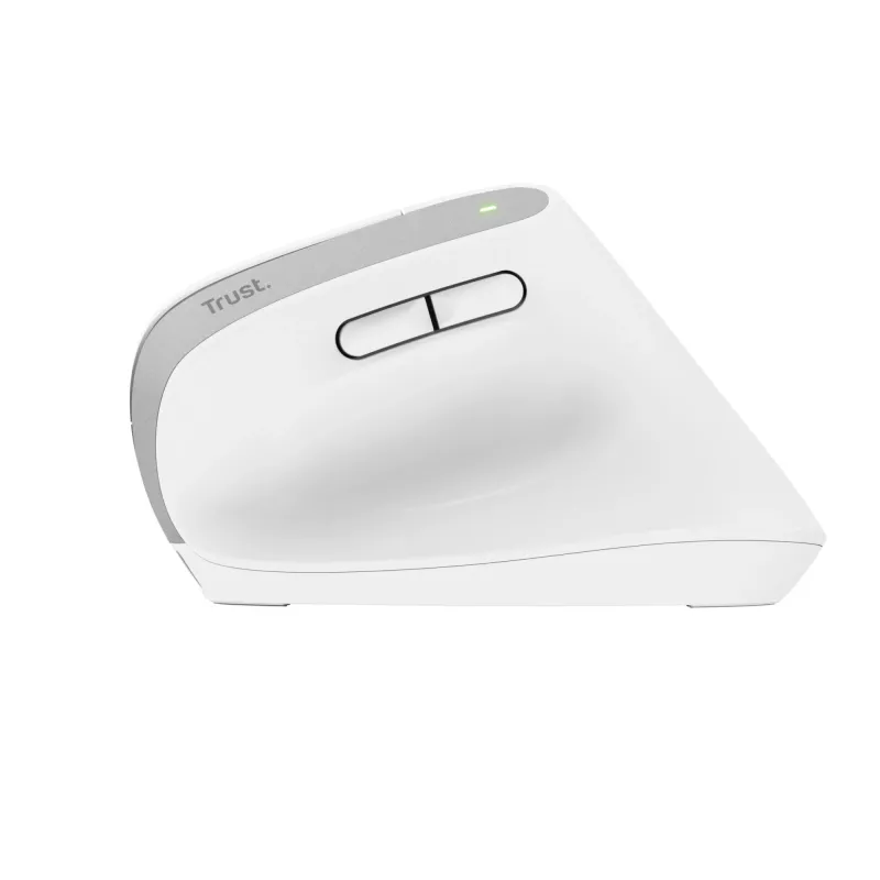 Trust Bayo+ pelė Biurui Dešiniarankiams RF Belaidis + Bluetooth Optinė 2400 DPI