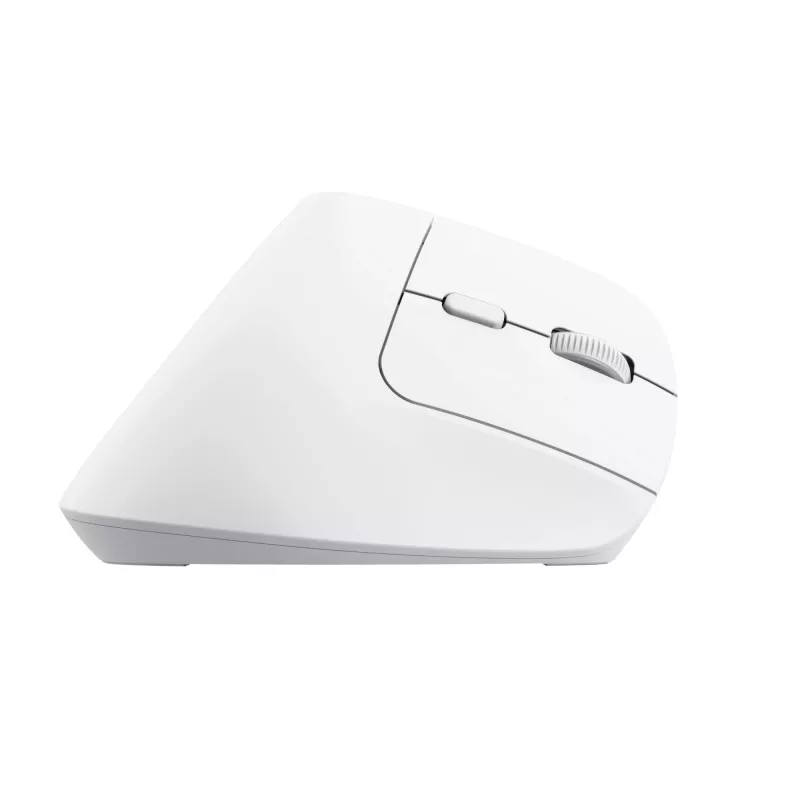 Trust Bayo+ pelė Biurui Dešiniarankiams RF Belaidis + Bluetooth Optinė 2400 DPI