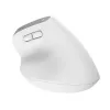 Trust Bayo+ pelė Biurui Dešiniarankiams RF Belaidis + Bluetooth Optinė 2400 DPI