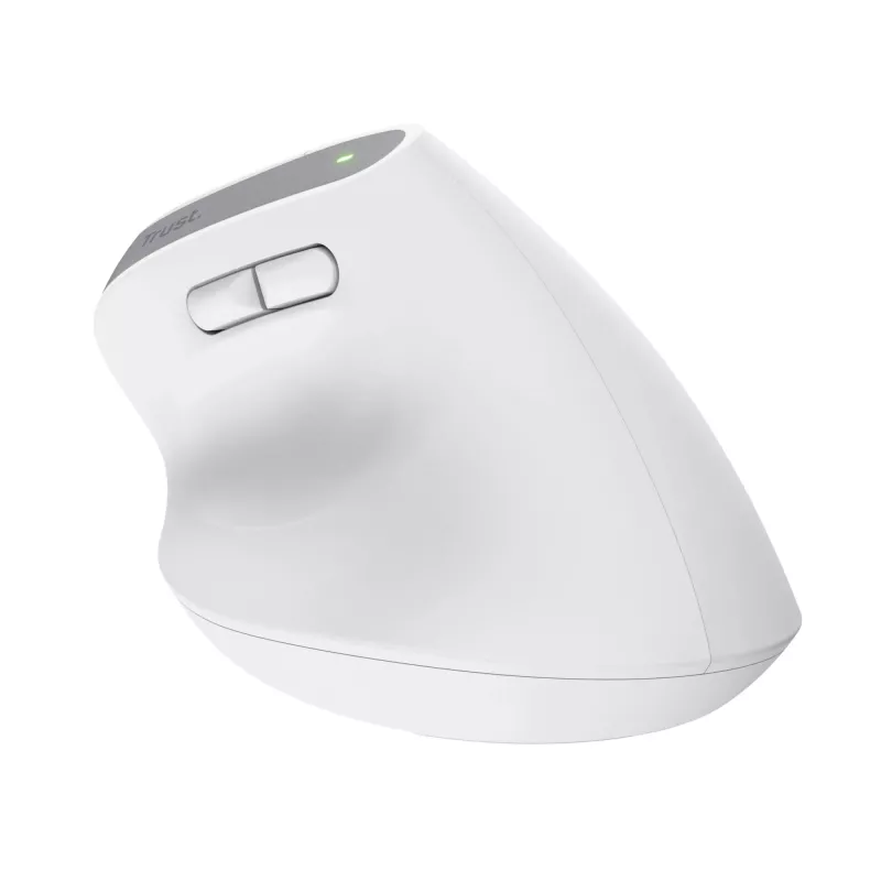 Trust Bayo+ pelė Biurui Dešiniarankiams RF Belaidis + Bluetooth Optinė 2400 DPI