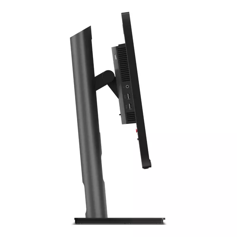 Monitorius Lenovo ThinkVision P25i-30 24,5 col. Full HD LED 1920 x 1080