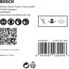 Bosch Expert 2 608 900 597 grąžtų rinkinys 5 vnt.