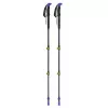 Trekking poles Viking Carbo Lite Juoda Lime, 175 cm, carbon, 610 g