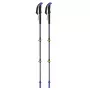 Trekking poles Viking Carbo Lite Juoda Lime, 175 cm, carbon, 610 g