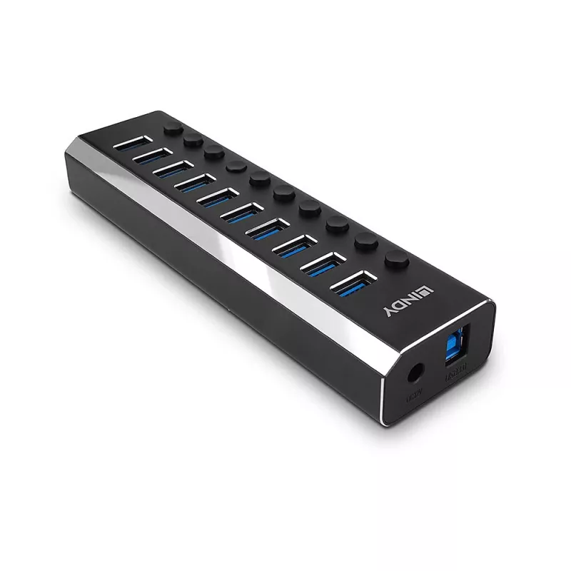 Lindy 10 prievadų USB 3.0 šakotuvas su įjungimo/išjungimo jungikliais