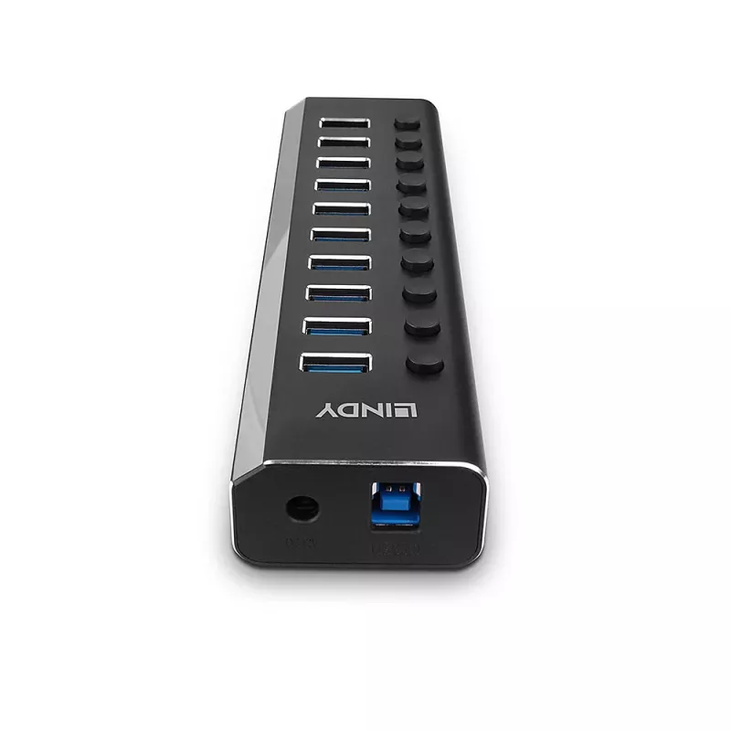 Lindy 10 prievadų USB 3.0 šakotuvas su įjungimo/išjungimo jungikliais