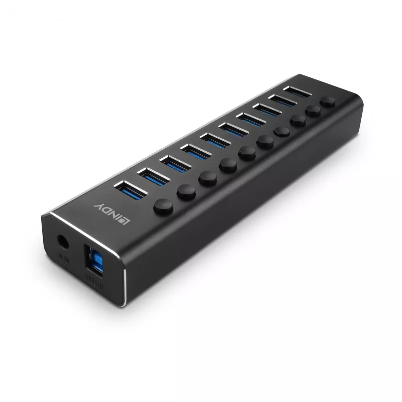 Lindy 10 prievadų USB 3.0 šakotuvas su įjungimo/išjungimo jungikliais