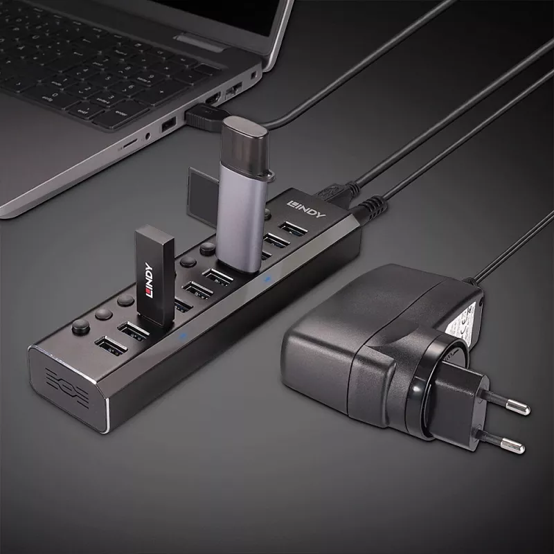 Lindy 10 prievadų USB 3.0 šakotuvas su įjungimo/išjungimo jungikliais