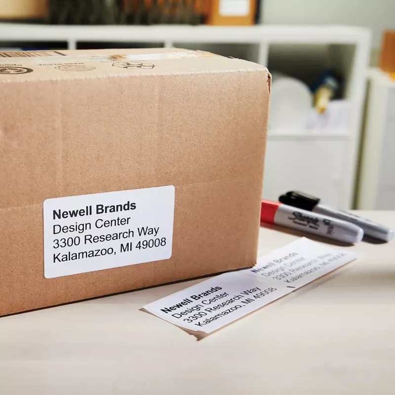 DYMO Authentic LabelWriter daugiafunkciai etikečių lipdukai 32 mm x 57 mm 6 ritinėliai po 1 000 lengvai nulupamų etikečių (6 000 vnt.) Saviklijuojamos LabelWriter etikečių spausdintuvams