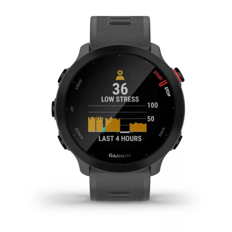 Išmanusis laikrodis GARMIN Forerunner 55, apvalus 42 mm korpusas, pilkos spalvos, silikoninis dirželis, GPS/GLONASS/Galileo, 5 ATM atsparumas vandeniui