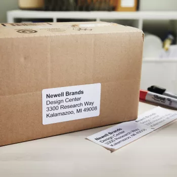 DYMO Authentic LabelWriter didelio našumo siuntimo etiketės | (59 mm x 102 mm) | 2 ritinėliai po 575 lengvai nulupamas etiketes (1 150 siuntimo etikečių) | lipnios | LabelWriter 4XL/5XL etikečių spausdintuvams