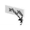 iiyama DS3002C-B1 monitorio laikiklis / stovas 68,6 cm (27 colių) Stalinis Juodas