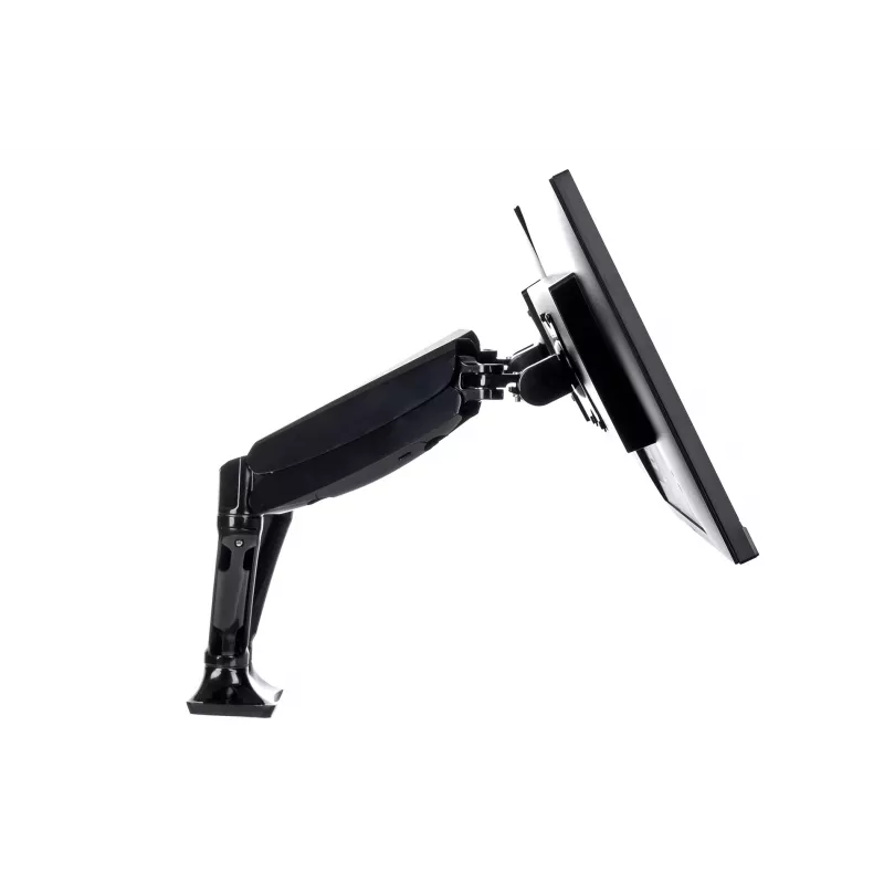 iiyama DS3002C-B1 monitorio laikiklis / stovas 68,6 cm (27 colių) Stalinis Juodas