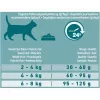 Sausas kačių maistas Purina Nestlé PURINA One 12430964, suaugusioms katėms, su lašiša, 9,75 kg, baltymai 34%, riebalai 14%