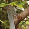 Sodo mačetė „Fiskars 1051236“ iš nerūdijančio plieno, oranžinė rankena