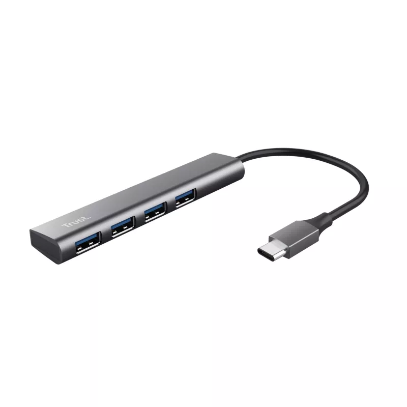 Trust Halyx USB 3.2 Gen 1 (3.1 Gen 1) Type-A 5 Mbit/s Pilka