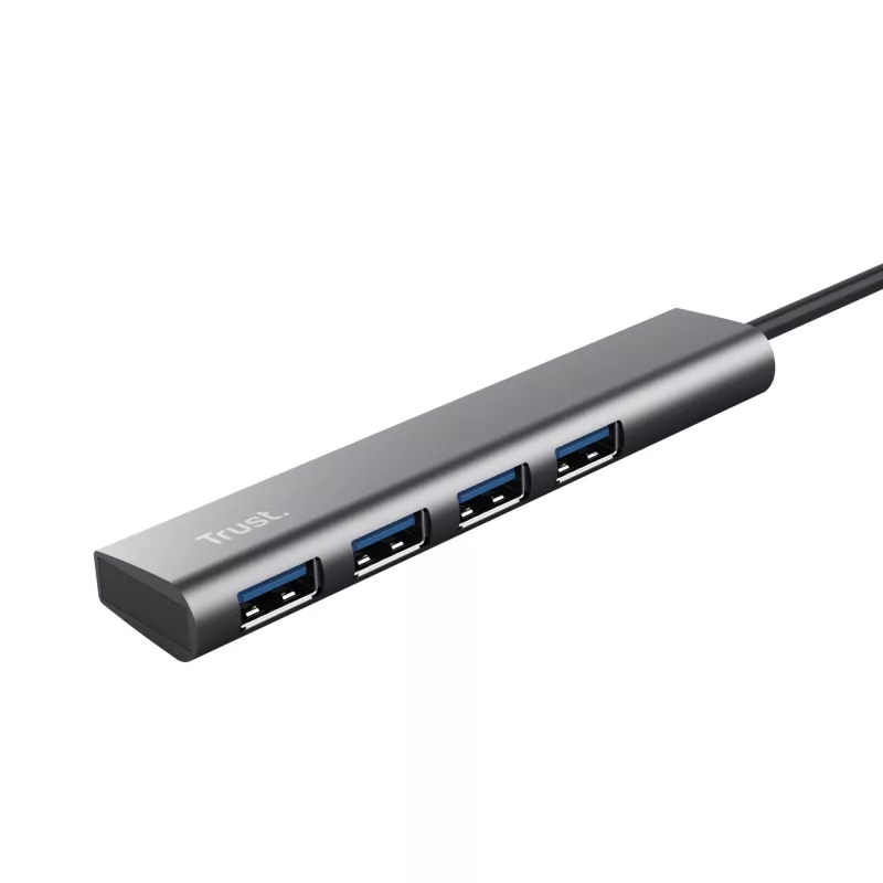 Trust Halyx USB 3.2 Gen 1 (3.1 Gen 1) Type-A 5 Mbit/s Pilka