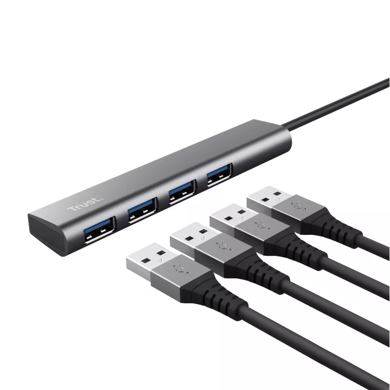 Trust Halyx USB 3.2 Gen 1 (3.1 Gen 1) Type-A 5 Mbit/s Pilka