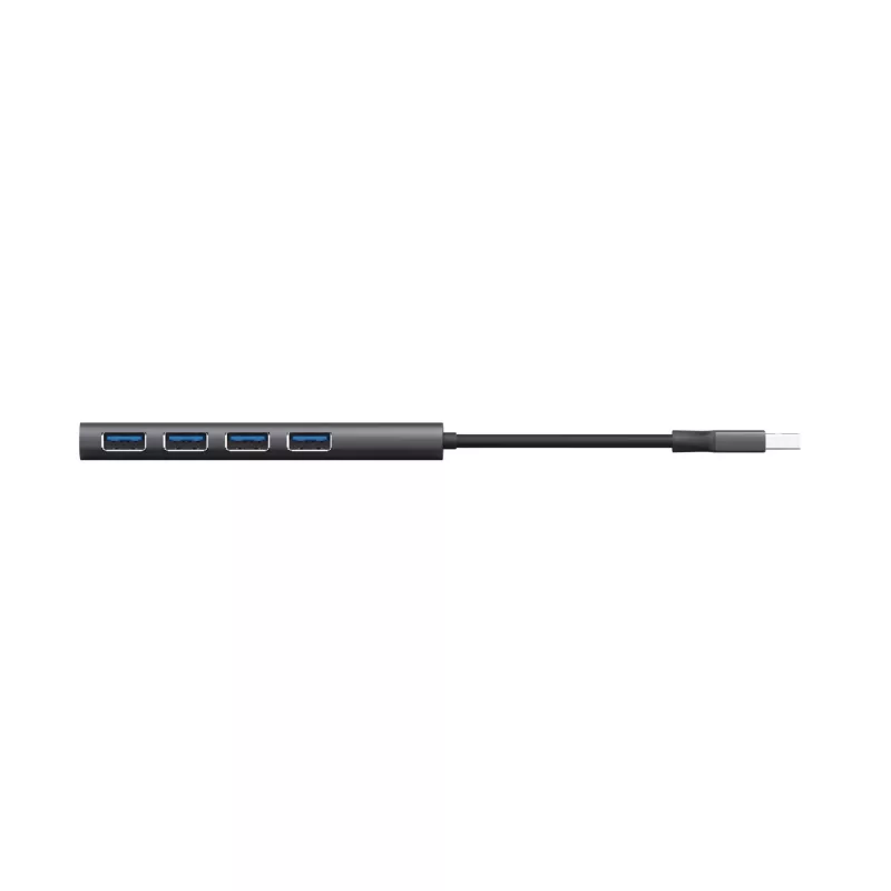 Trust Halyx USB 3.2 Gen 1 (3.1 Gen 1) Type-A 5 Mbit/s juodas, pilkas