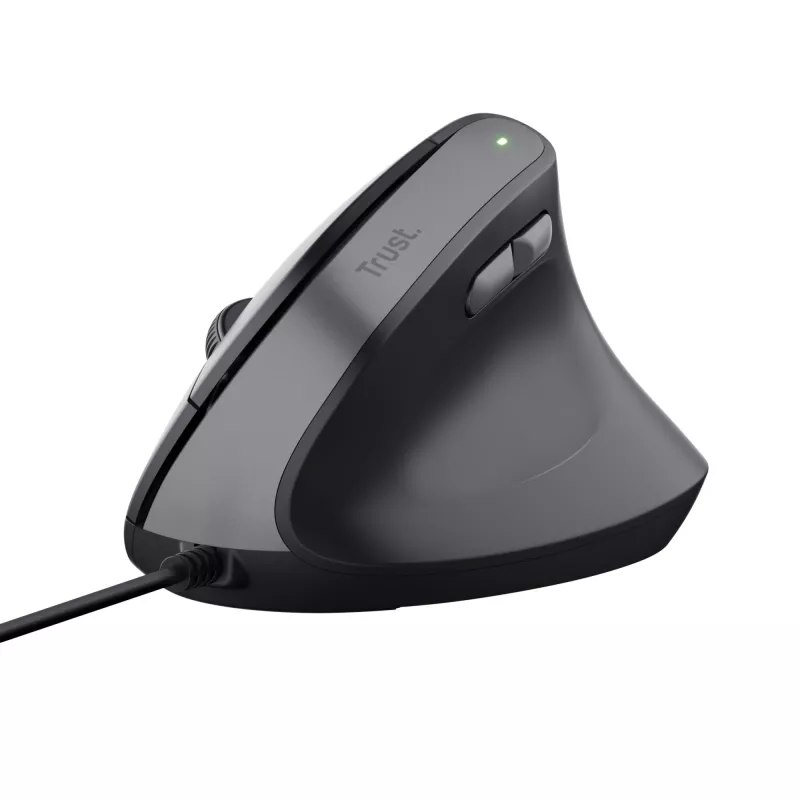 Trust Bayo II pelė Dešinė ranka USB Type-A 2400 DPI