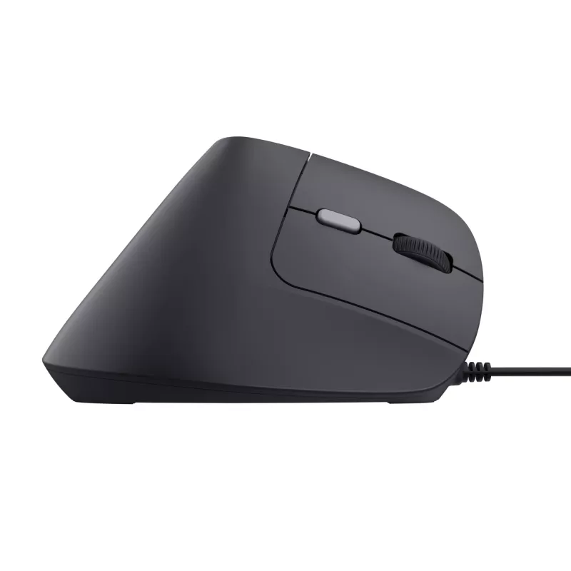 Trust Bayo II pelė Dešinė ranka USB Type-A 2400 DPI